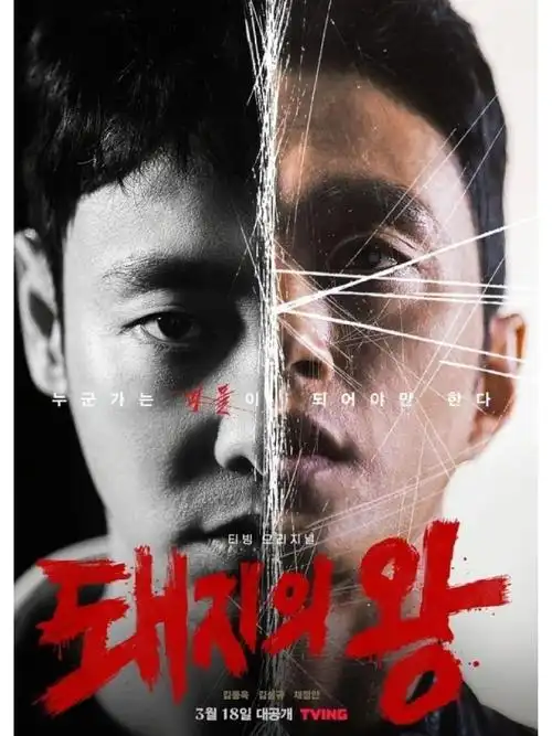 王牌对王牌综艺海报-动漫推荐高清播放